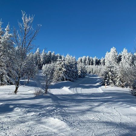 Aktiv-Ferienwohnung "Snow & Bike"- Zentral Zwischen Winterberg Und Willingen Ngoại thất bức ảnh