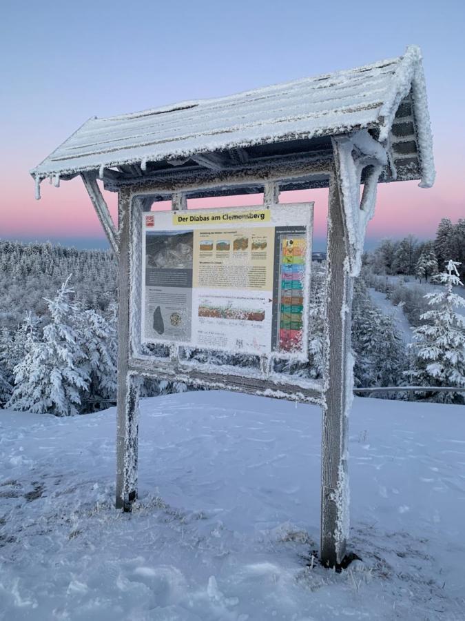 Aktiv-Ferienwohnung "Snow & Bike"- Zentral Zwischen Winterberg Und Willingen Ngoại thất bức ảnh